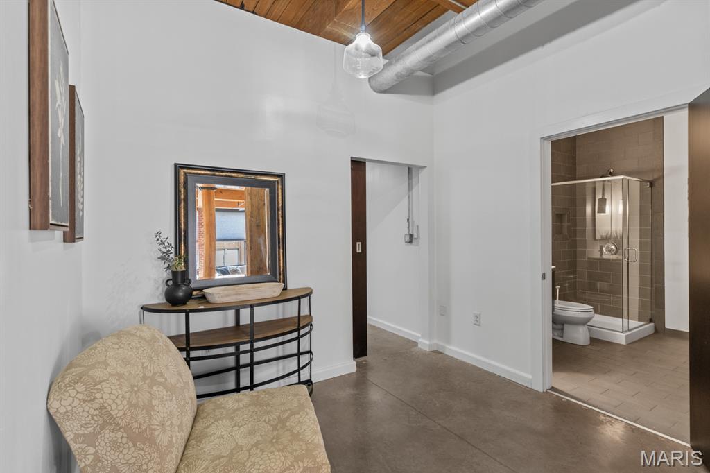 1015 Washington Avenue, Unit 501 St. Louis, MO 63101 - Photo 4 of 48