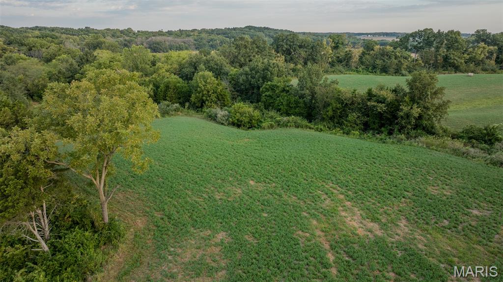 0 Victory Road Medora, IL 62063 - Photo 19 of 65 Gallery Image 19