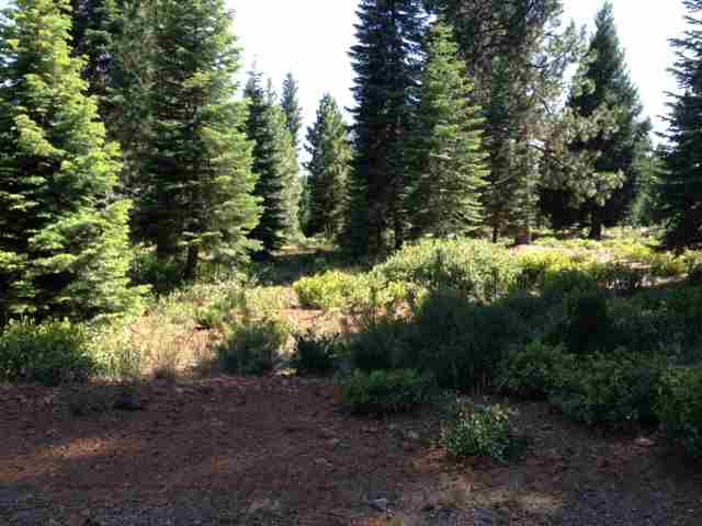 314 Alpine Fir Road, Unit CEDAR Lake Almanor, CA 96137 - Photo 3 of 4 Gallery Image 3