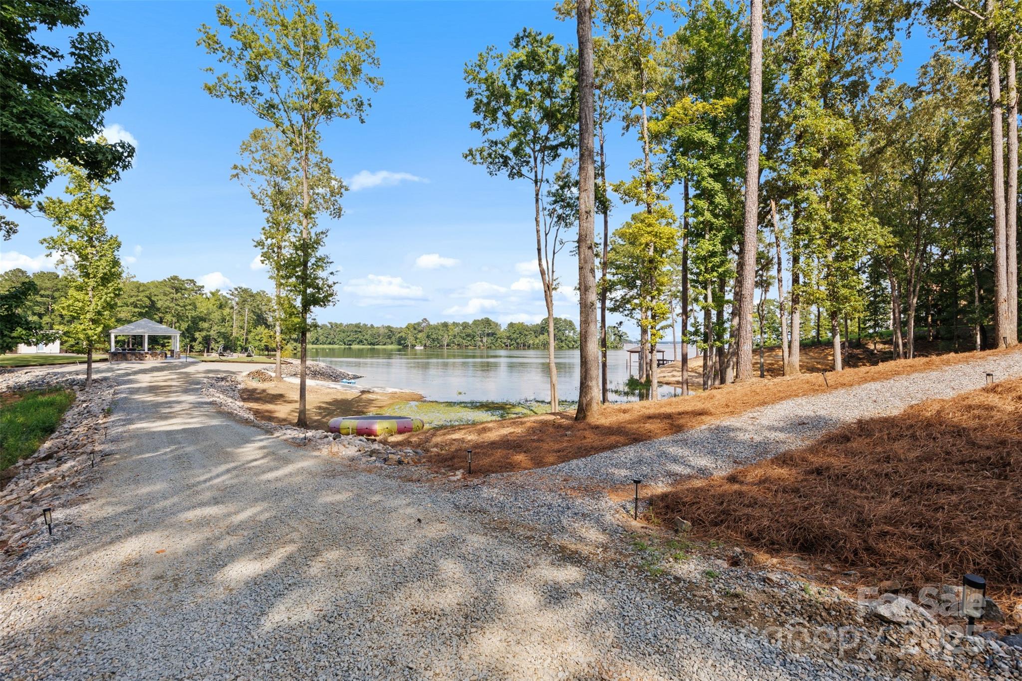 1075 Retreat Way Ridgeway, SC 29130 - Photo 34 of 48 a view of yard with swimming pool and trees