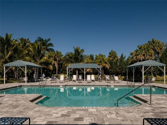 a view of a swimming pool with a garden and plants