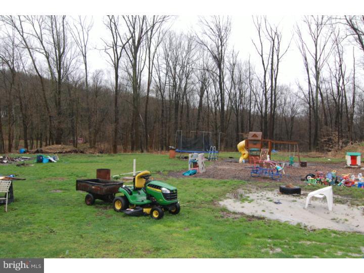 11 Irish Mountain Road Temple, PA 19560 - Photo 4 of 15 Back Yard