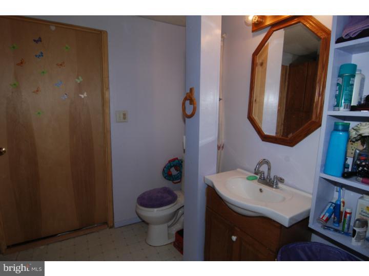 11 Irish Mountain Road Temple, PA 19560 - Photo 10 of 15 Bathroom