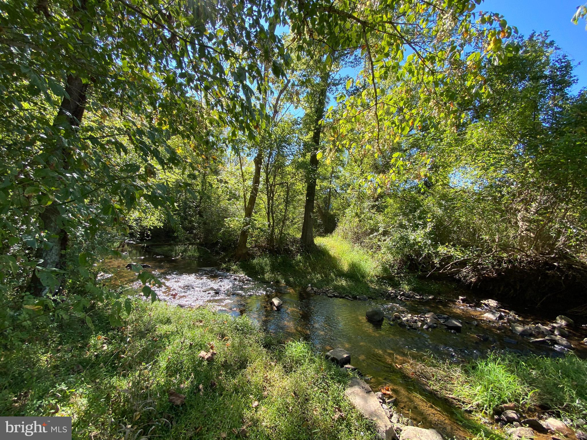 8546 Springs Road Warrenton, VA 20186 - Photo 17 of 36 Gallery Image 17