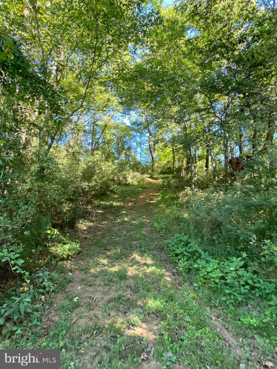 8546 Springs Road Warrenton, VA 20186 - Photo 24 of 36 Gallery Image 24