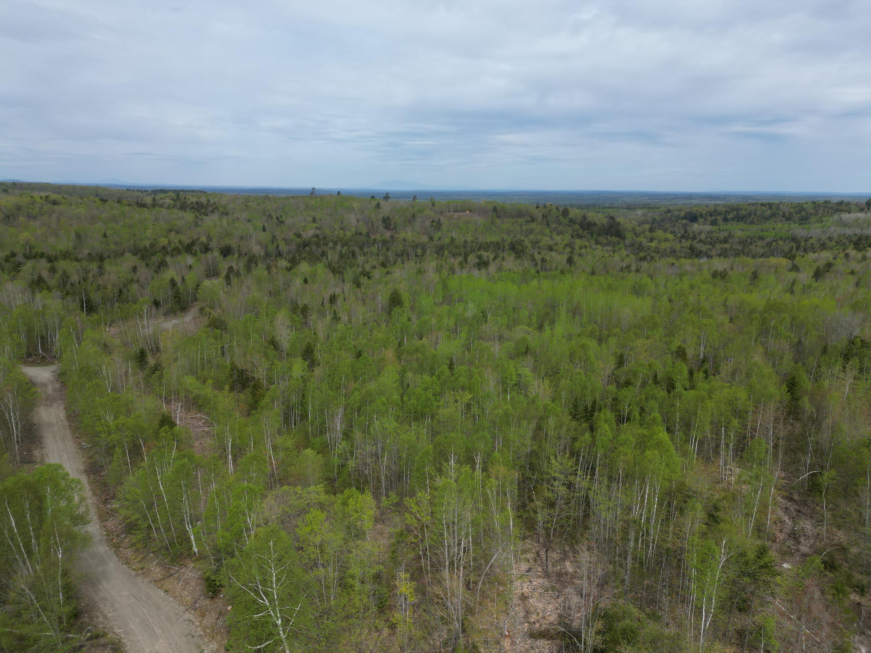 Lot 3 Moores Road Springfield, ME 04487 - Photo 12 of 12 DJI_0462