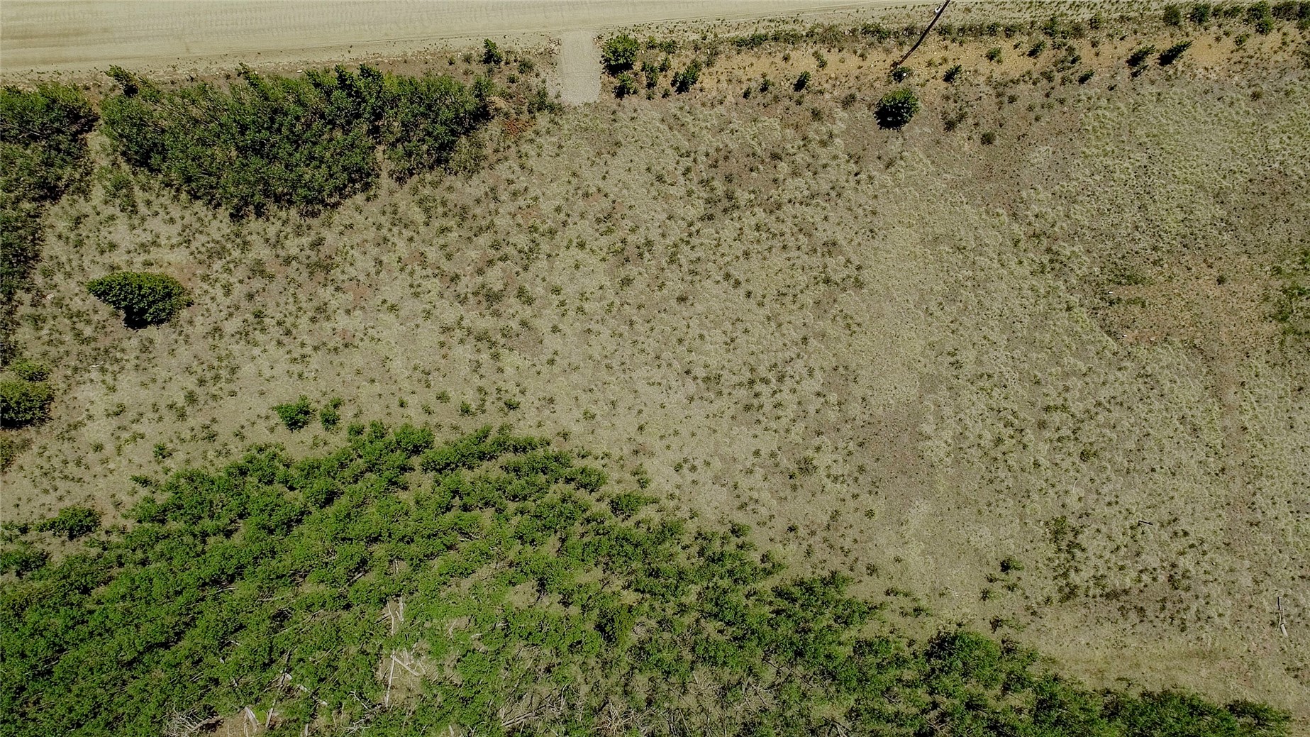 515 Wild Rye Road Fairplay, CO 80440 - Photo 19 of 24