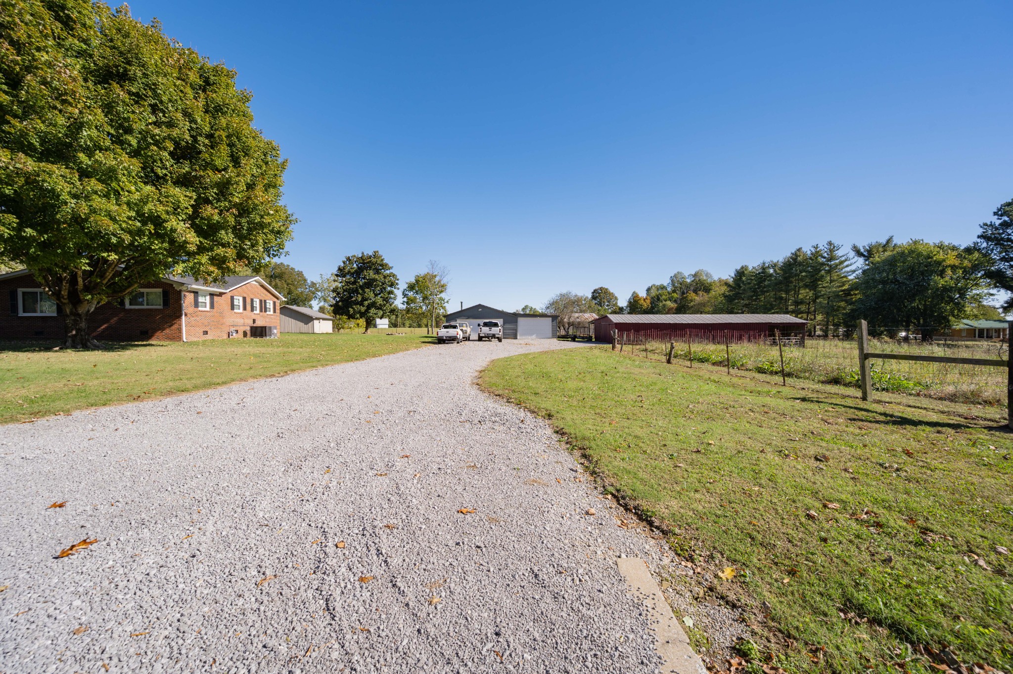 49 Bush Road Bradyville, TN 37026 - Photo 31 of 38 a view of a park with large trees