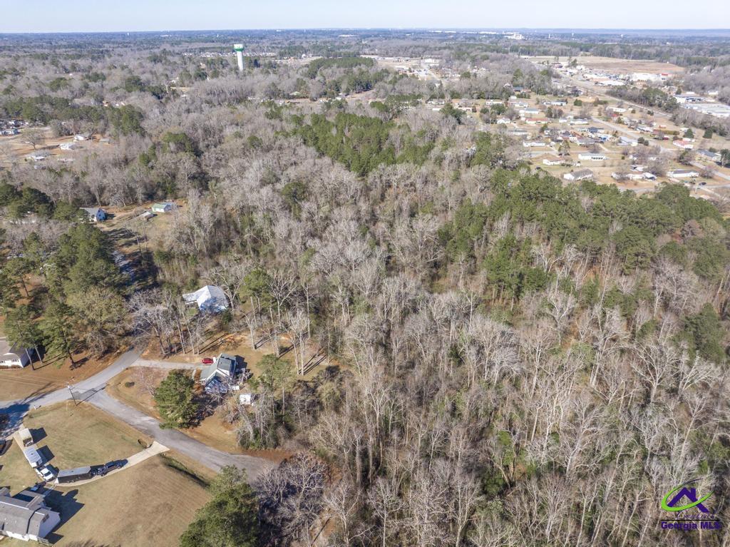 42.5 Old Perry Road Hawkinsville, GA 31036 - Photo 14 of 17