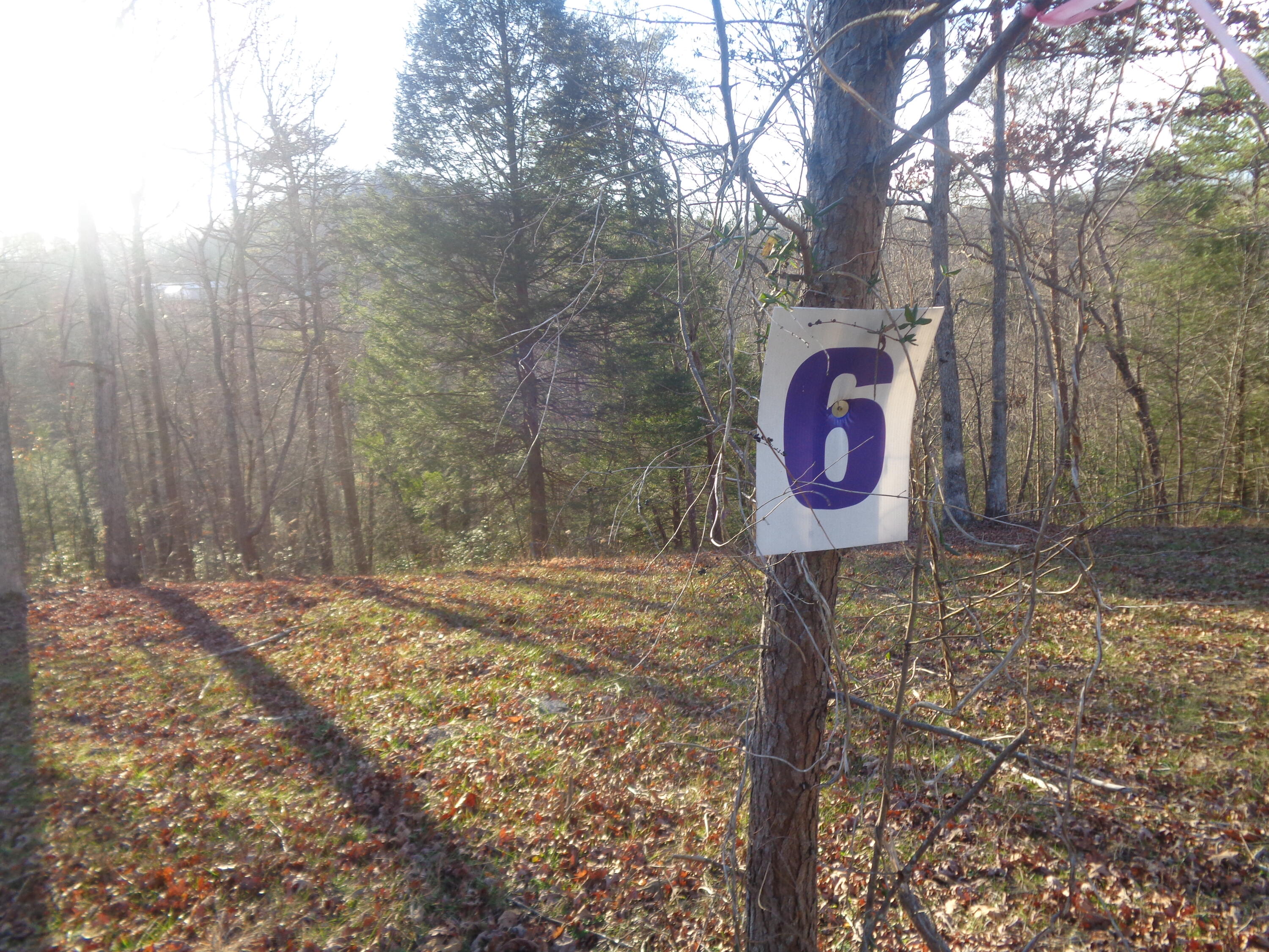Lot 6 Fount Hubbard Road London, KY 40741 - Photo 4 of 24 DSC07442