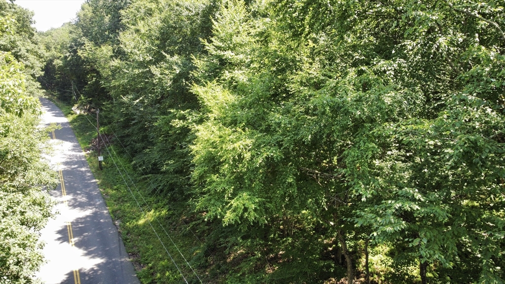 Lot 6 Upper Hampden Road Monson, MA 01057 - Photo 10 of 14 a view of a lush green forest