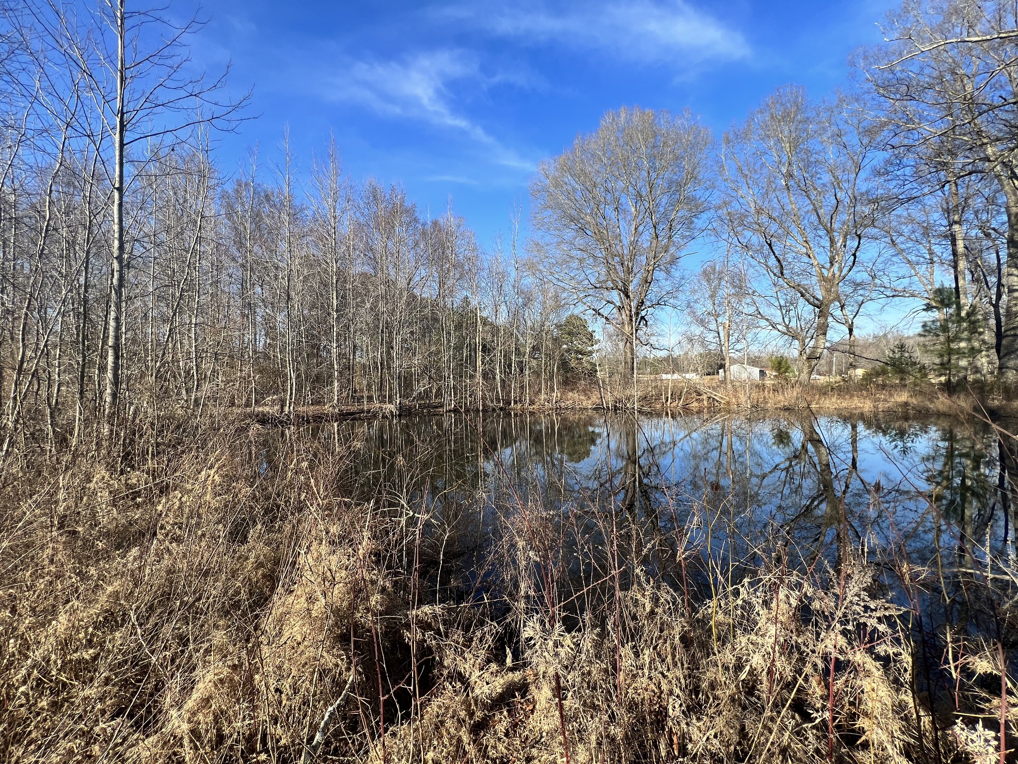 132 Pratt Road Manchester, TN 37355 - Photo 23 of 50 a view of a forest covered with snow