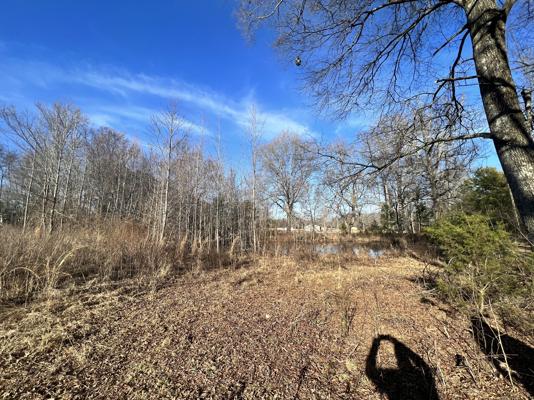 132 Pratt Road Manchester, TN 37355 - Photo 24 of 50 a view of yard and mountain