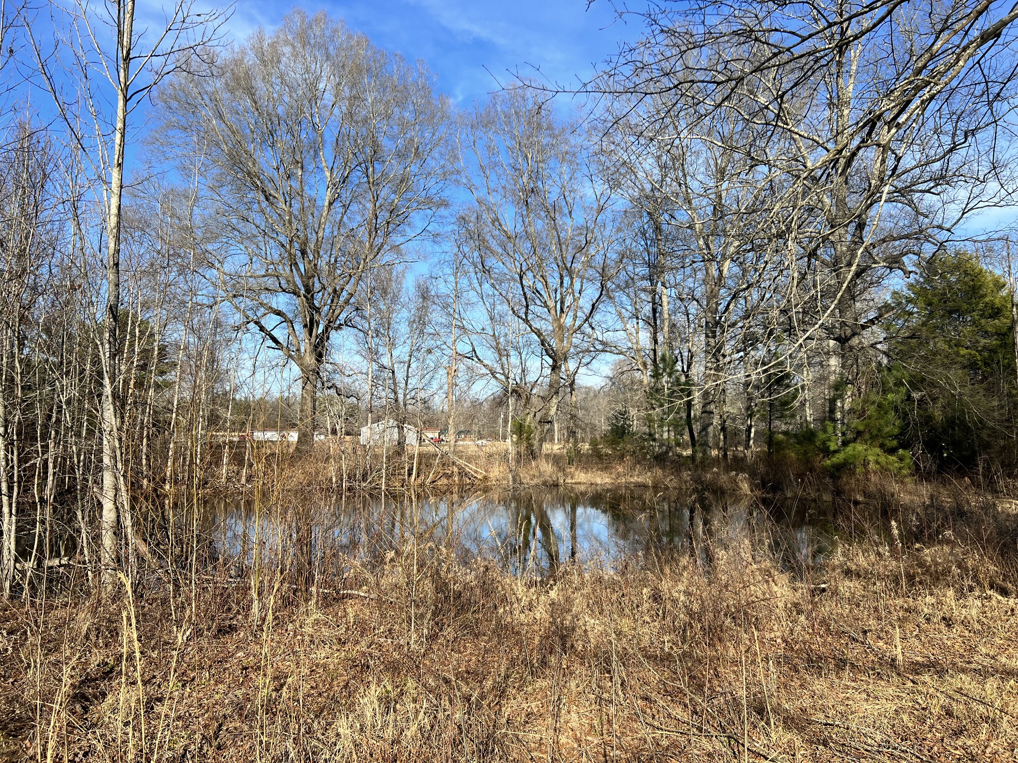 132 Pratt Road Manchester, TN 37355 - Photo 25 of 50 a view of lake with a tree