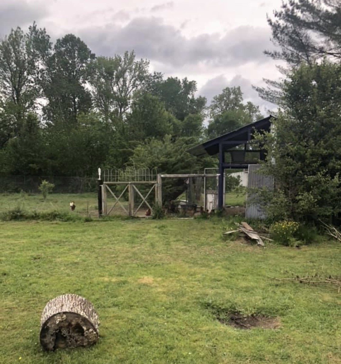 132 Pratt Road Manchester, TN 37355 - Photo 26 of 50 a backyard of a house with table and chairs