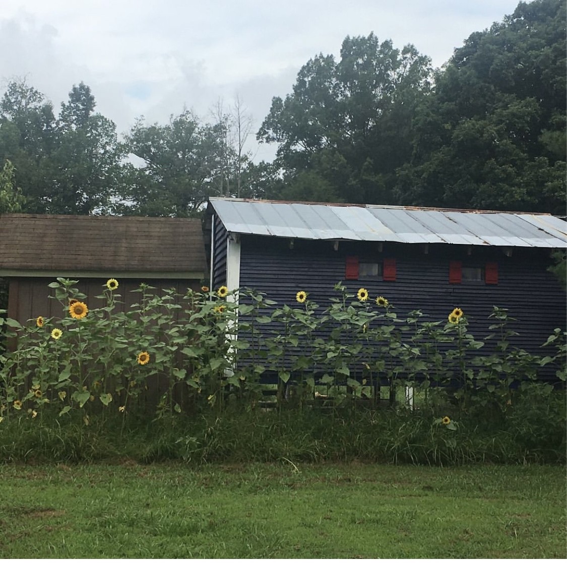 132 Pratt Road Manchester, TN 37355 - Photo 28 of 50 a view of a garden