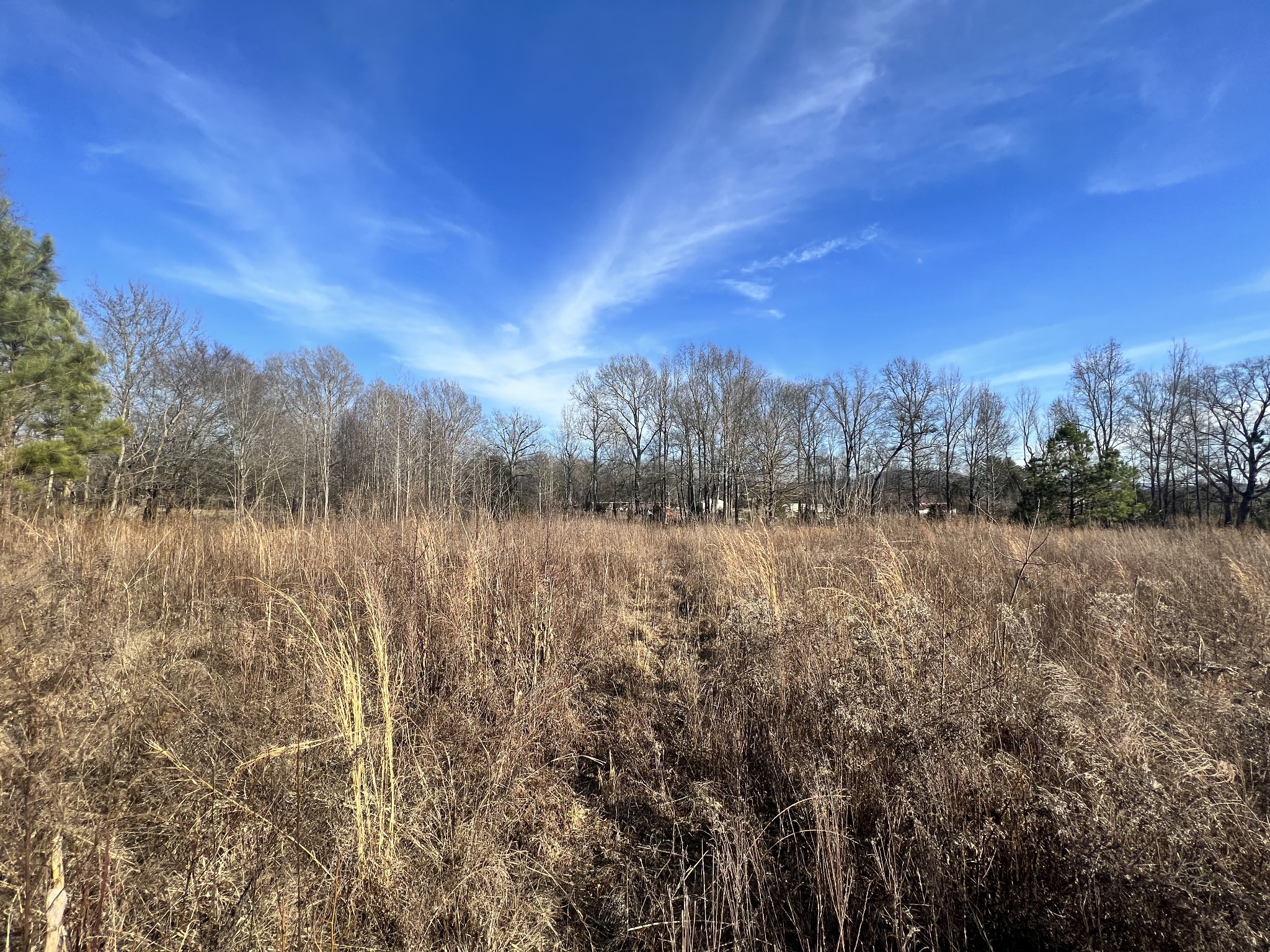 132 Pratt Road Manchester, TN 37355 - Photo 44 of 50 a view of a lake with a city