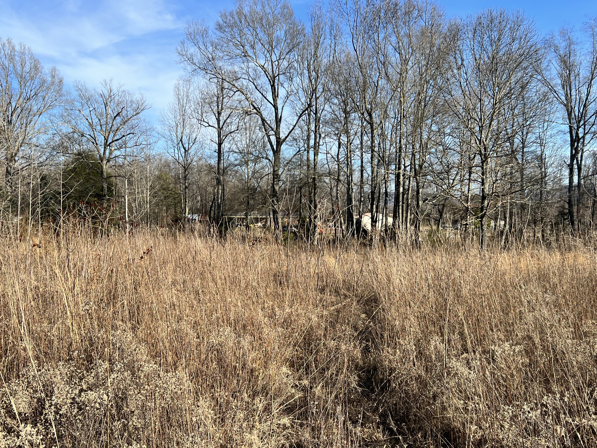 132 Pratt Road Manchester, TN 37355 - Photo 45 of 50 a view of river covered with tall trees