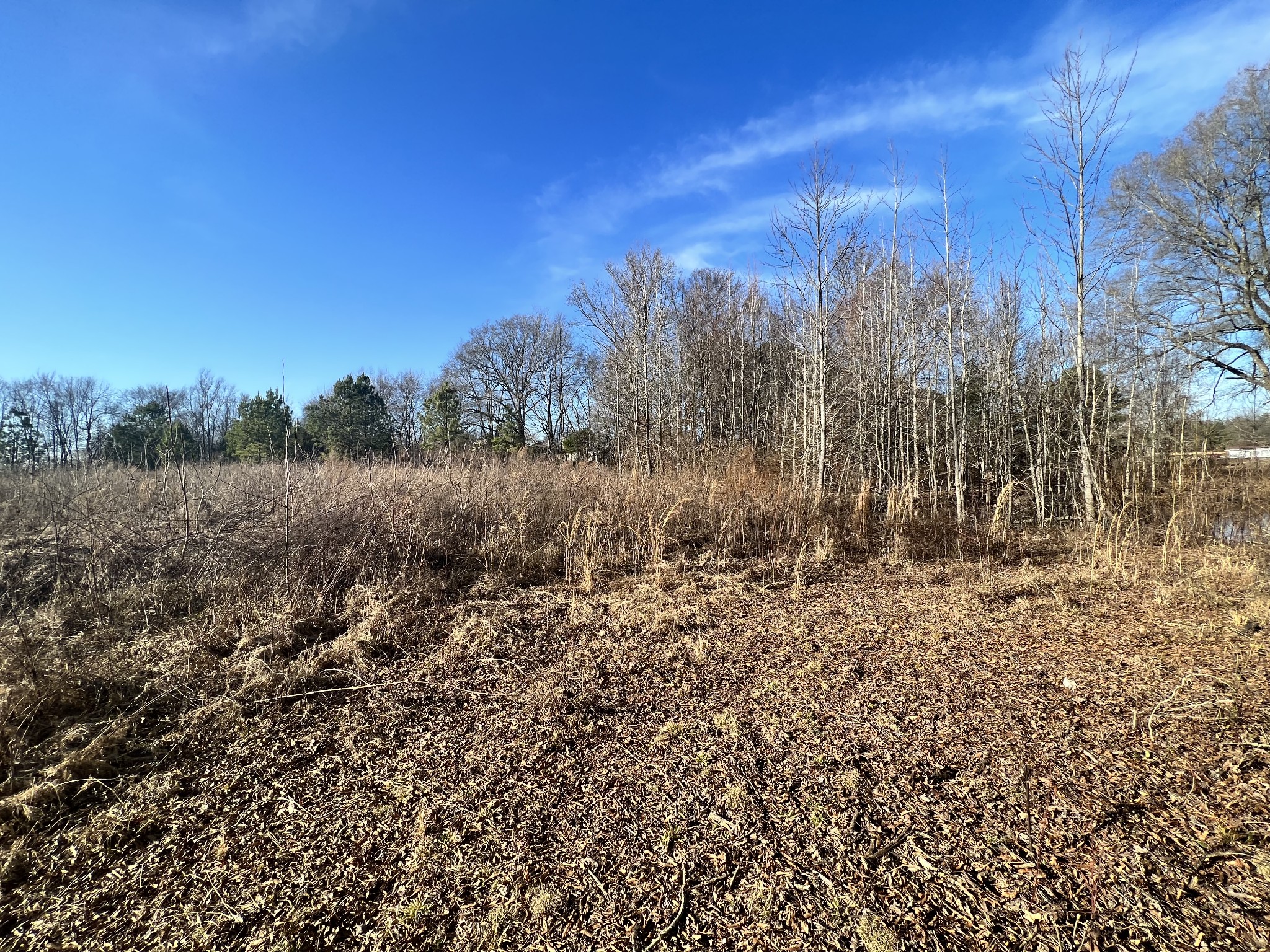 132 Pratt Road Manchester, TN 37355 - Photo 50 of 50 a view of a yard with a tree