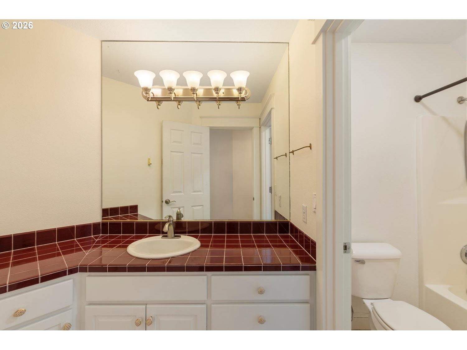 2519 Northwest 24th Circle Camas, WA 98607 - Photo 40 of 48 a bathroom with a sink and a mirror