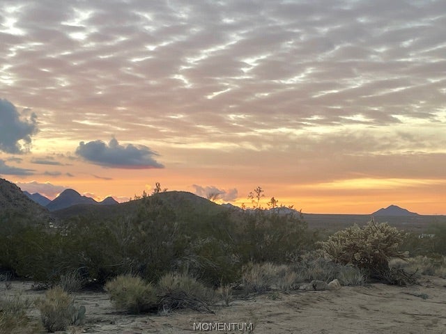 21477 South Sundance Kid Road Yucca, AZ 86438 - Photo 65 of 66 Gallery Image 65