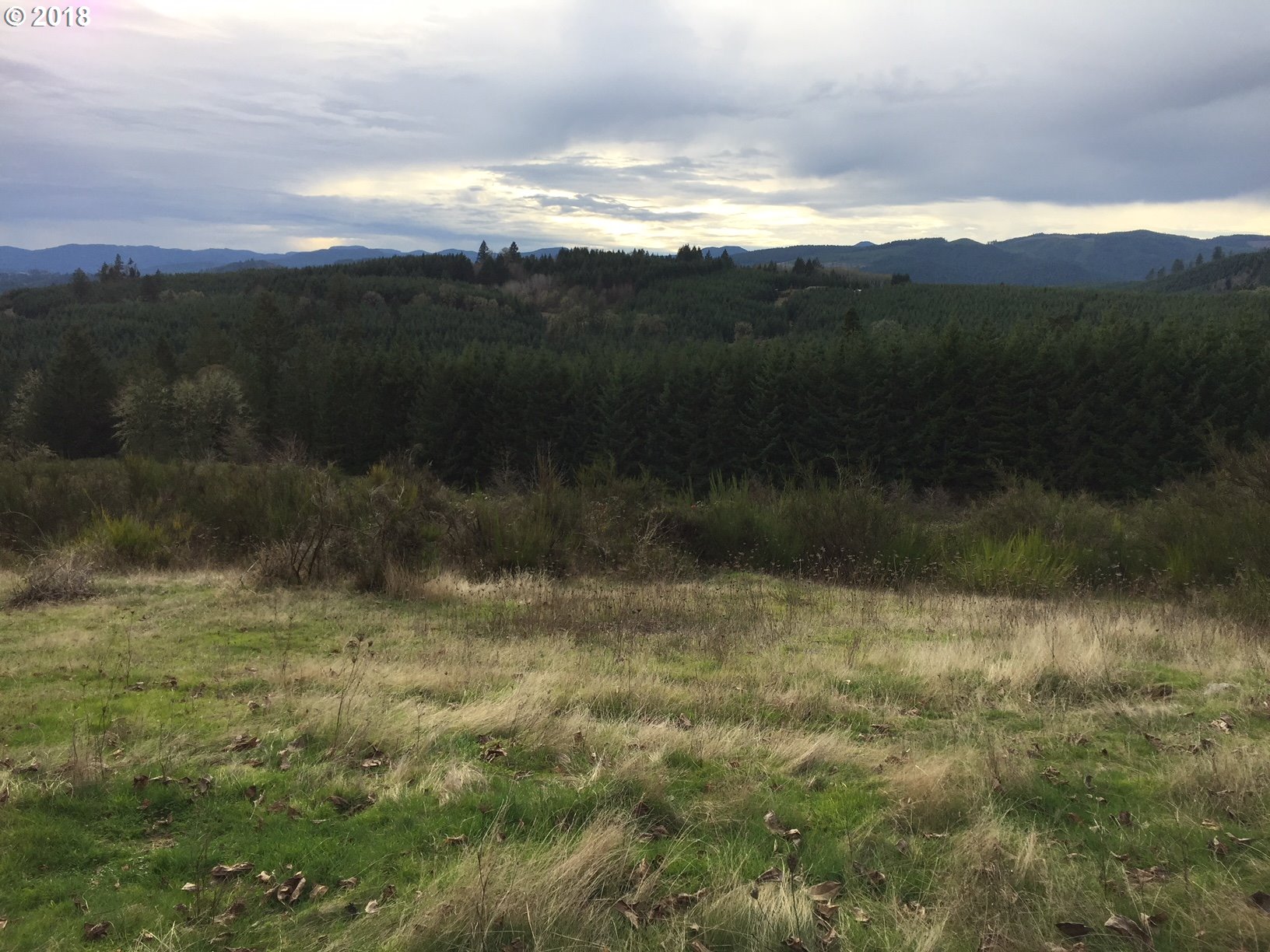 12500 Northwest Ford Road Gaston, OR 97119 - Photo 3 of 19 Gallery Image 3