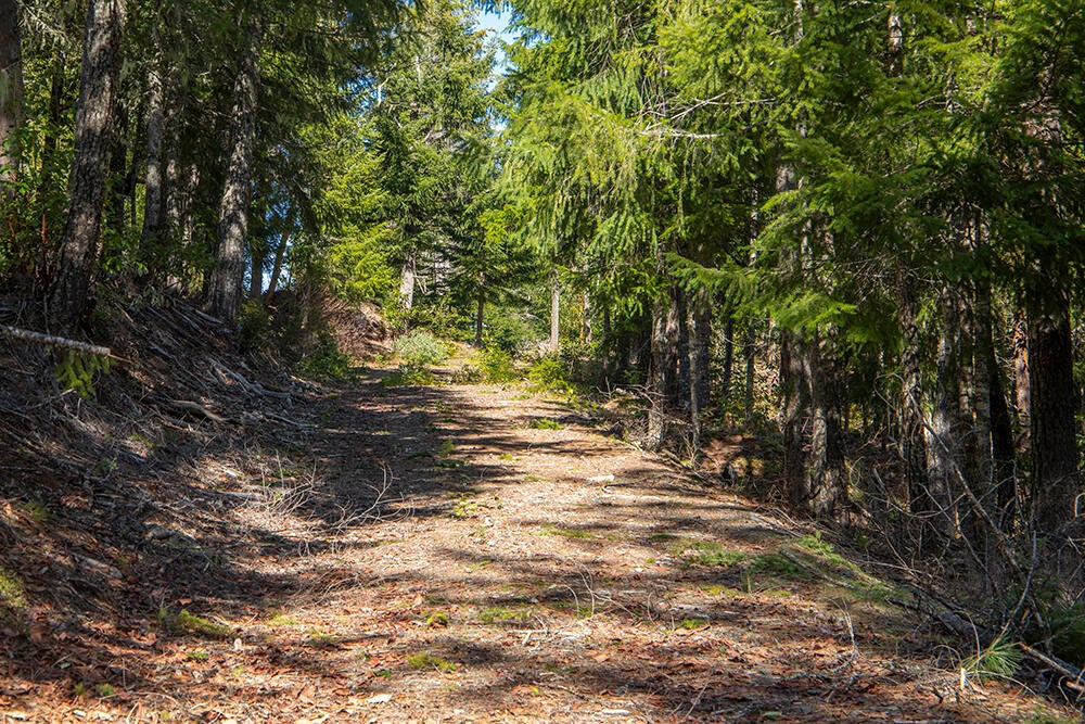 0 Jumpoff Joe Creek Road, Unit 200 Rogue River, OR 97537 - Photo 32 of 48 33