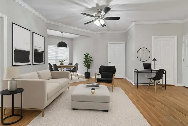 a living room with furniture a table and a potted plant