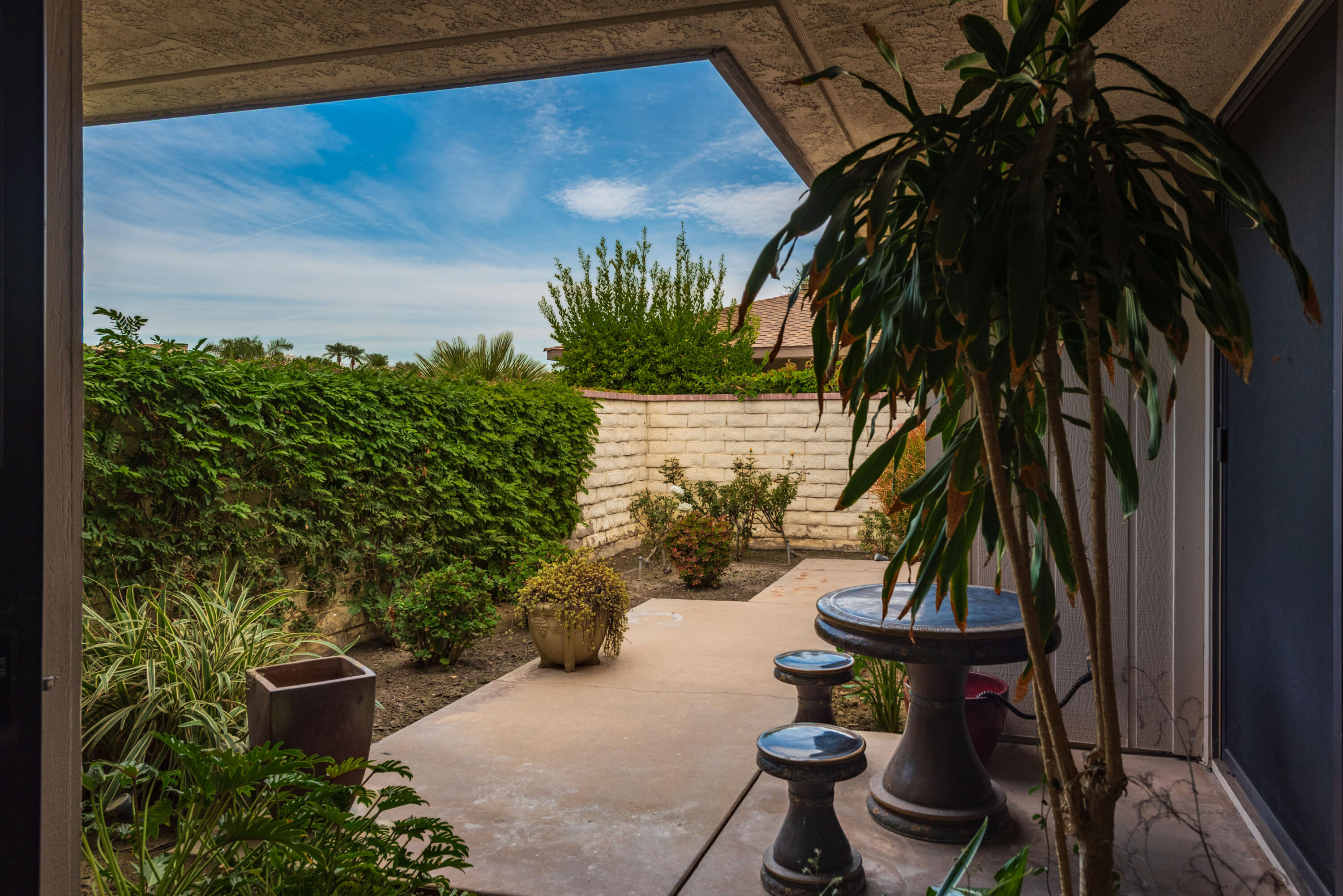 3 Cornell Drive Rancho Mirage, CA 92270 - Photo 6 of 46 a view of a backyard with plants