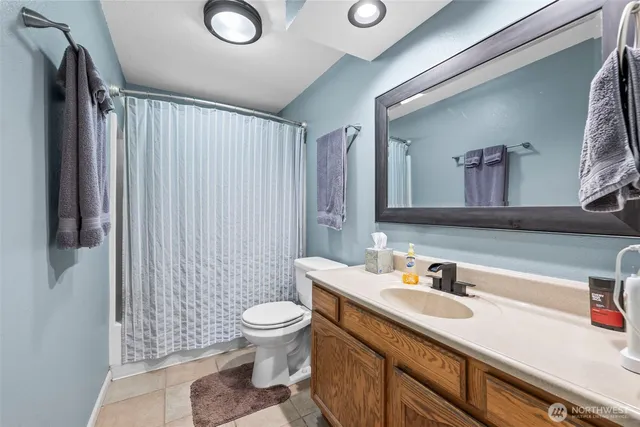 a bathroom with a sink a toilet a large mirror and shower