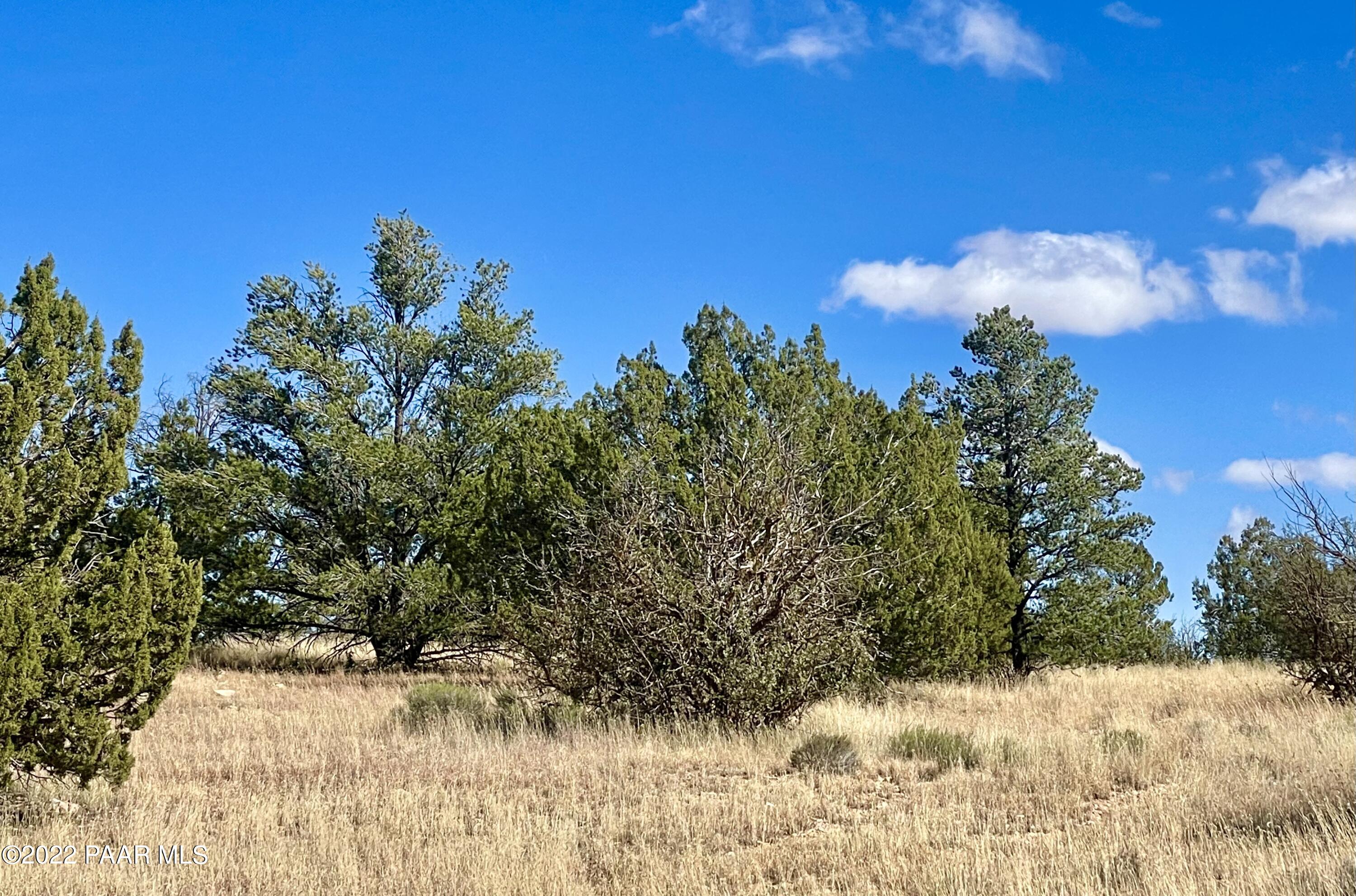 9379 West Red Bluff Road Williams, AZ 86046 - Photo 1 of 10 IMG_4227