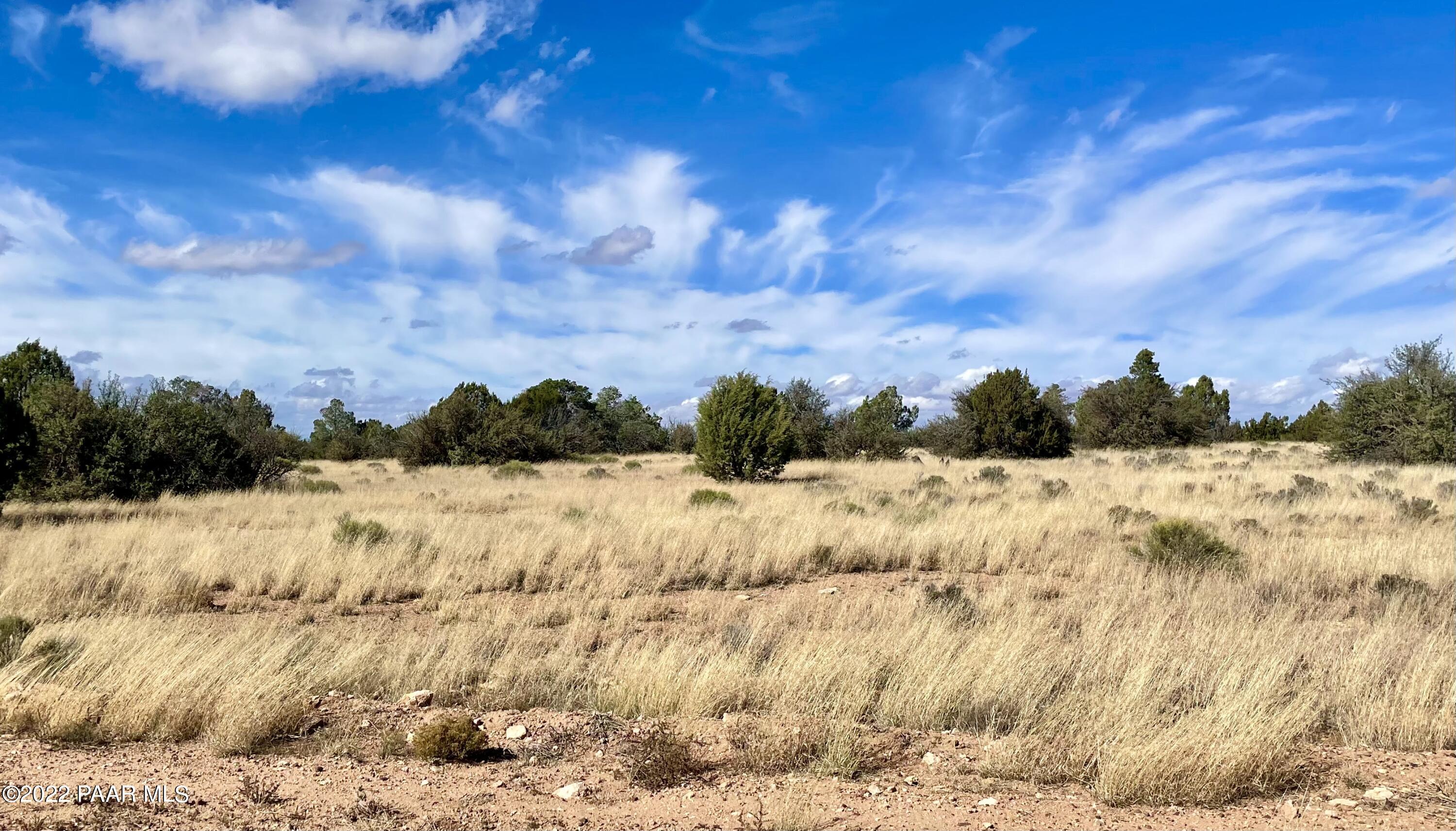 9379 West Red Bluff Road Williams, AZ 86046 - Photo 3 of 10 IMG_4228