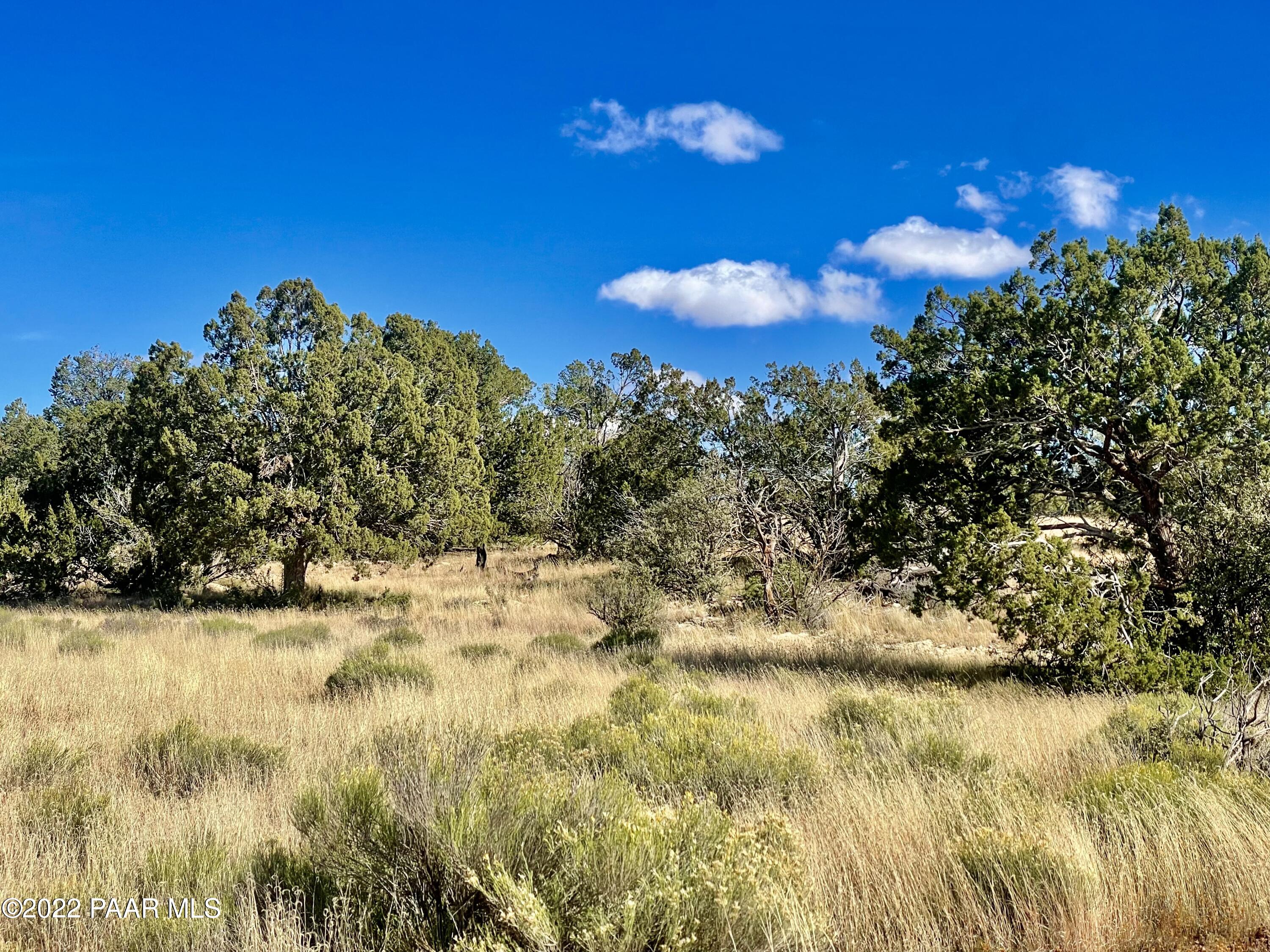 9379 West Red Bluff Road Williams, AZ 86046 - Photo 4 of 10 IMG_4225