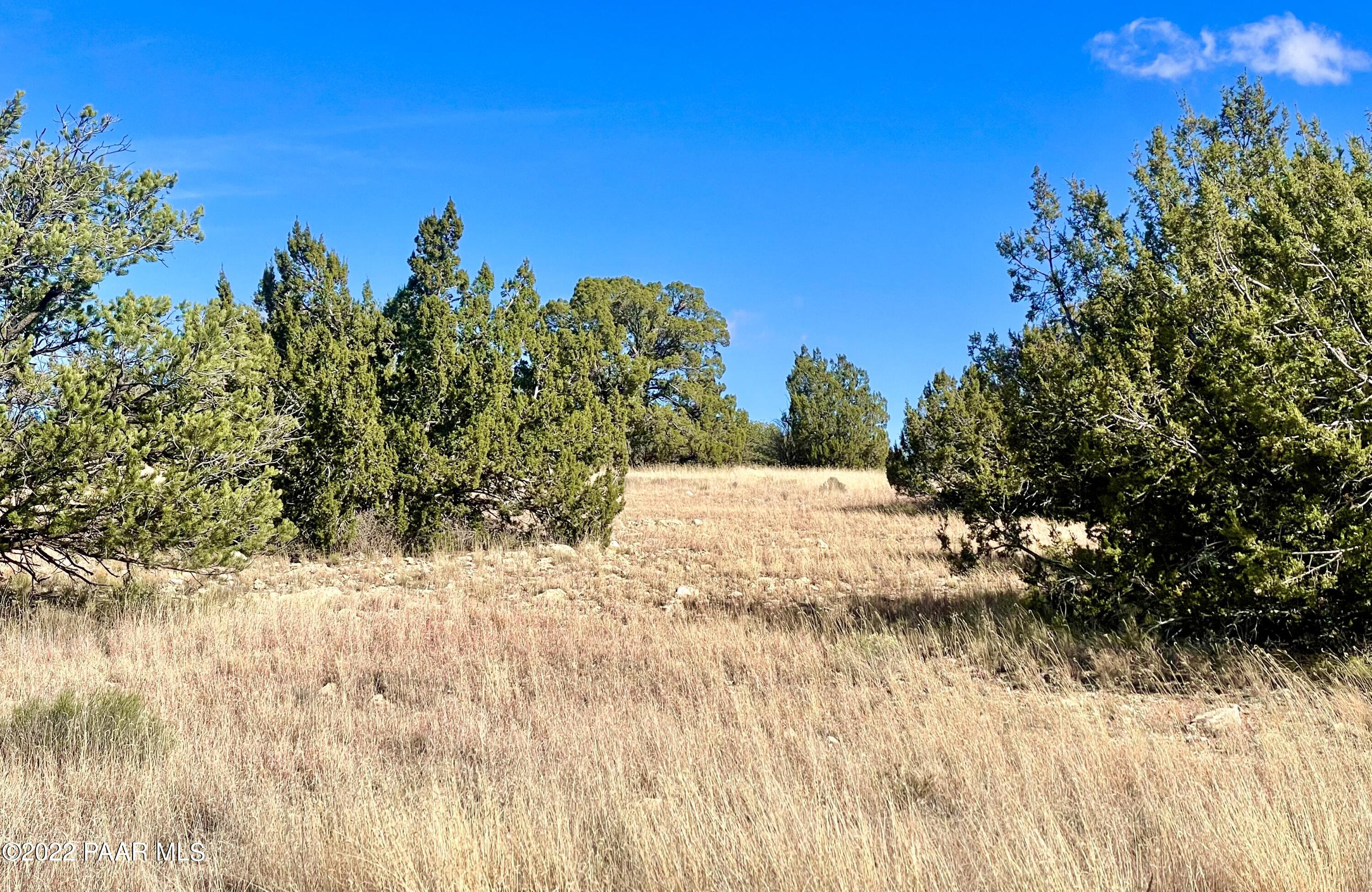 9379 West Red Bluff Road Williams, AZ 86046 - Photo 5 of 10 IMG_4226