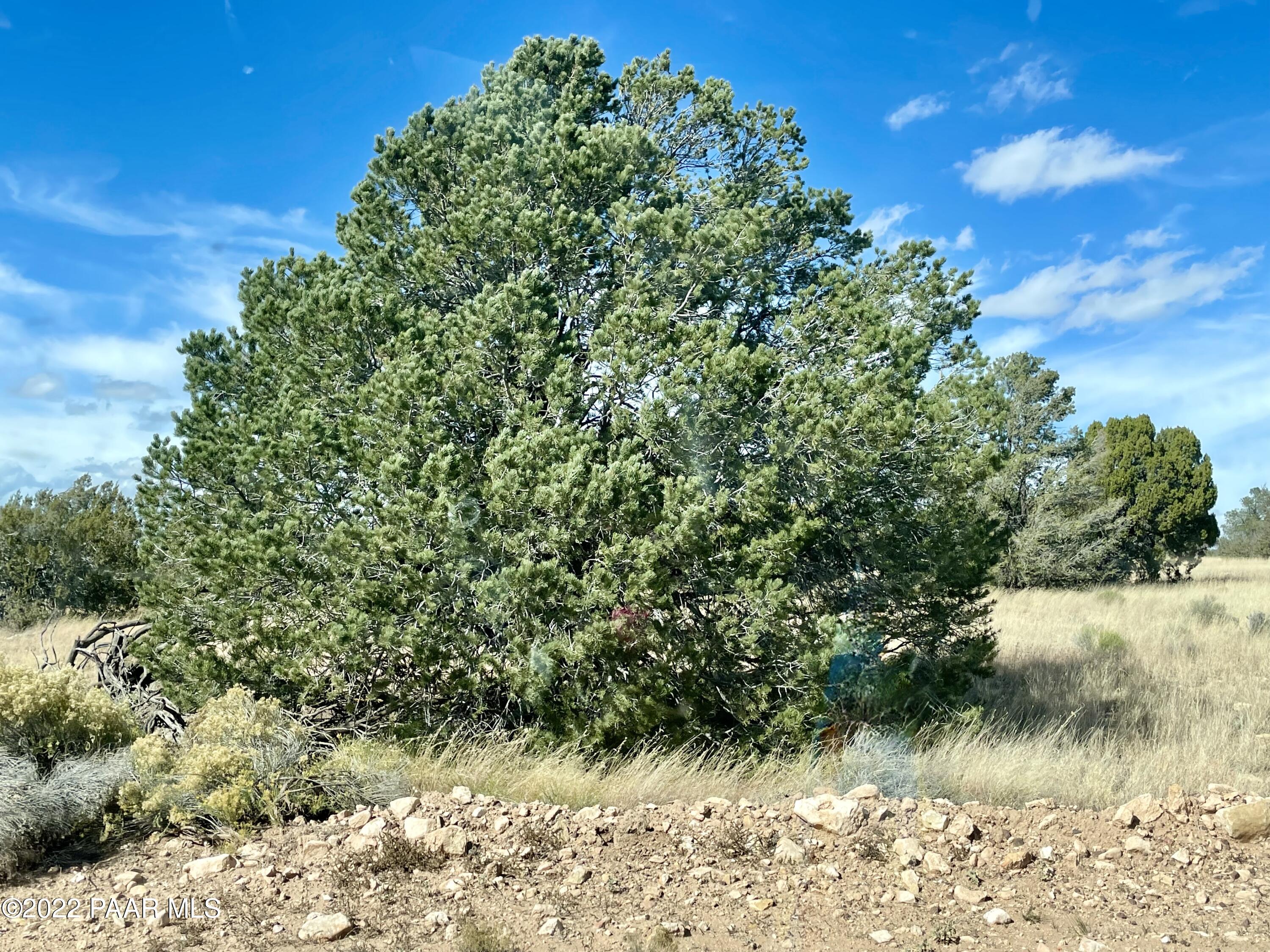 9379 West Red Bluff Road Williams, AZ 86046 - Photo 7 of 10 IMG_4232