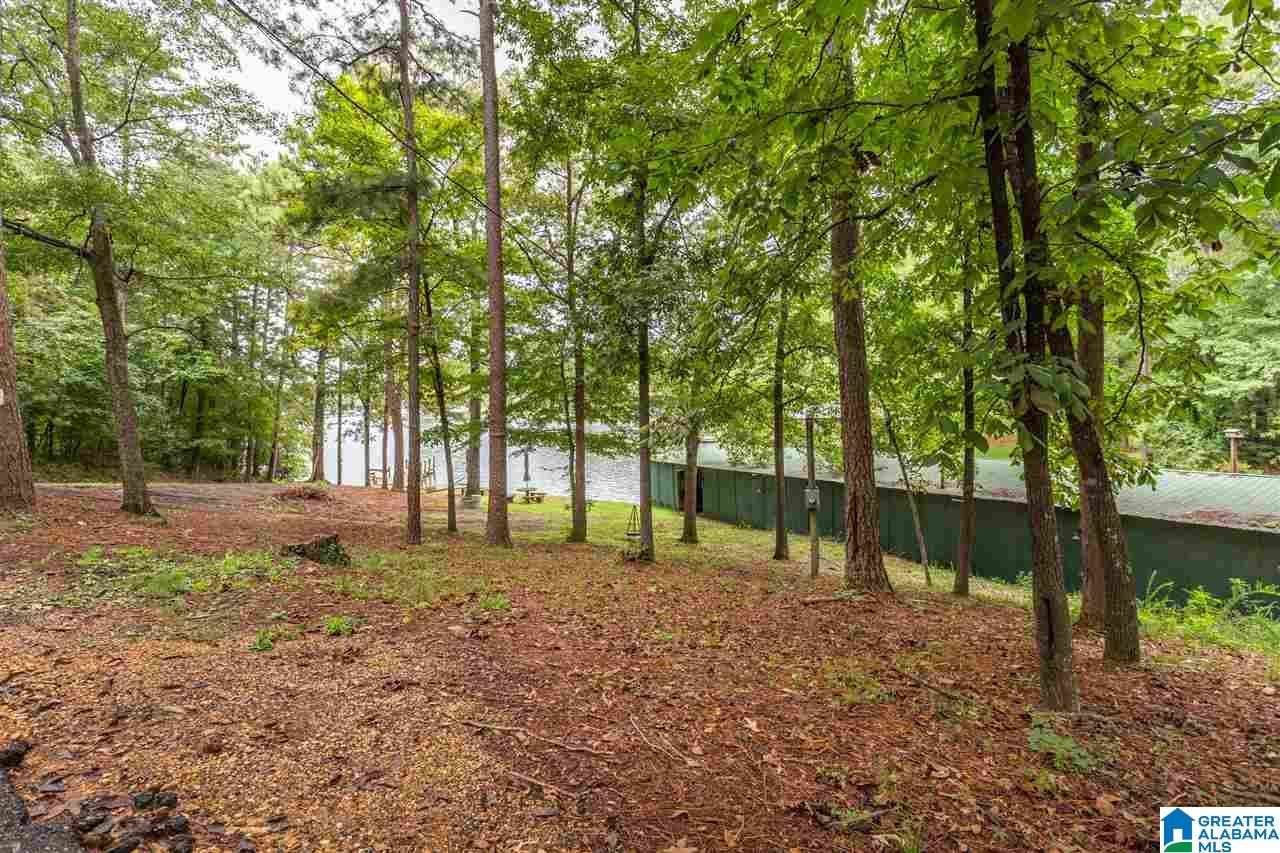 45 Clearwater Point Road Cropwell, AL 35054 - Photo 33 of 39