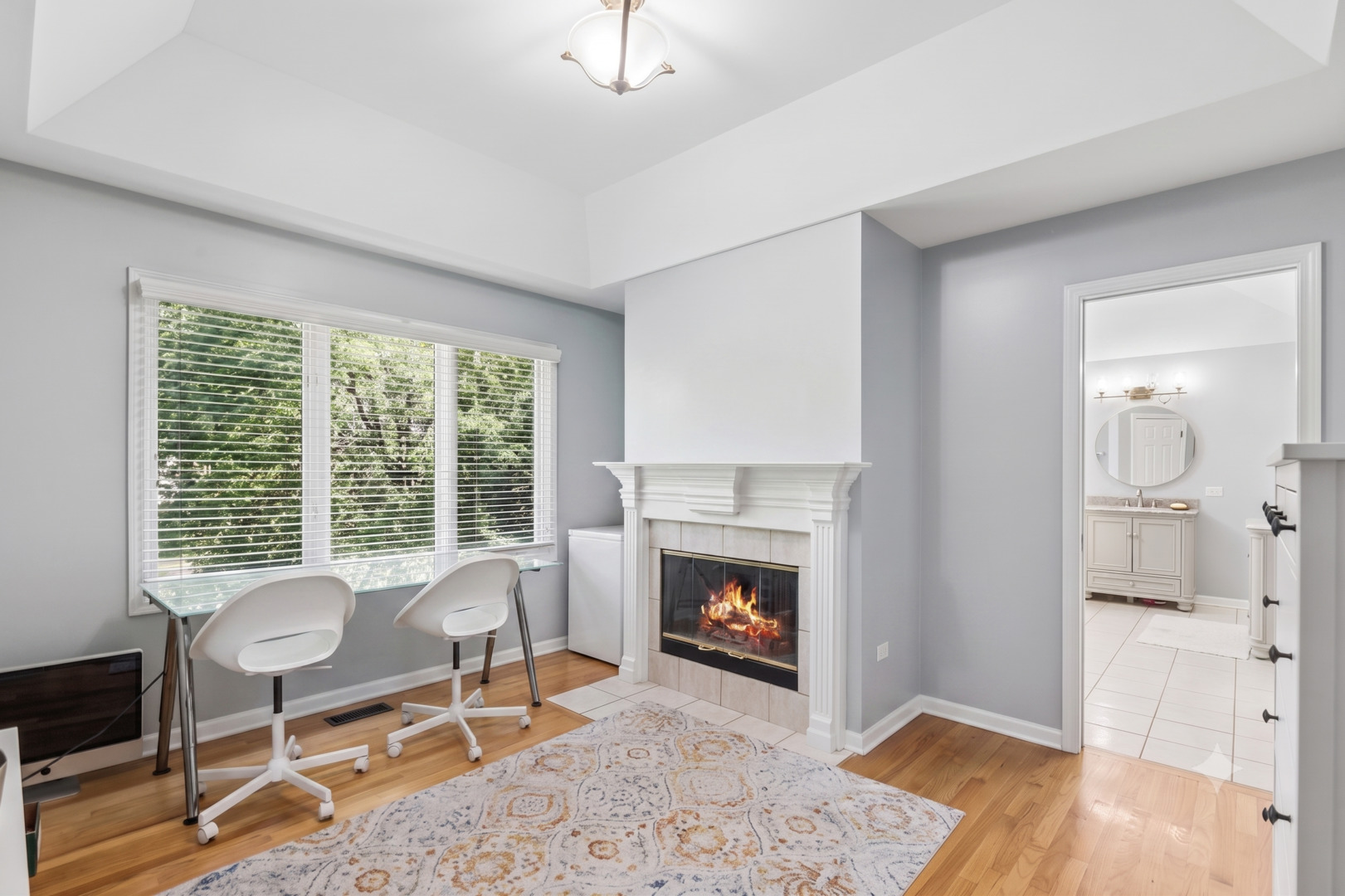 2207 Leverenz Road Naperville, IL 60564 - Photo 21 of 43