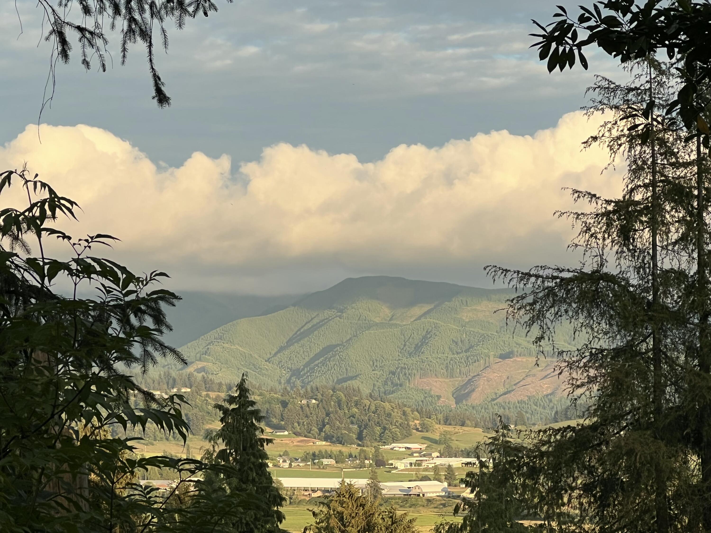 Tl#1000 Aldercrest Road Tillamook, OR 97141 - Photo 4 of 13 IMG_5829