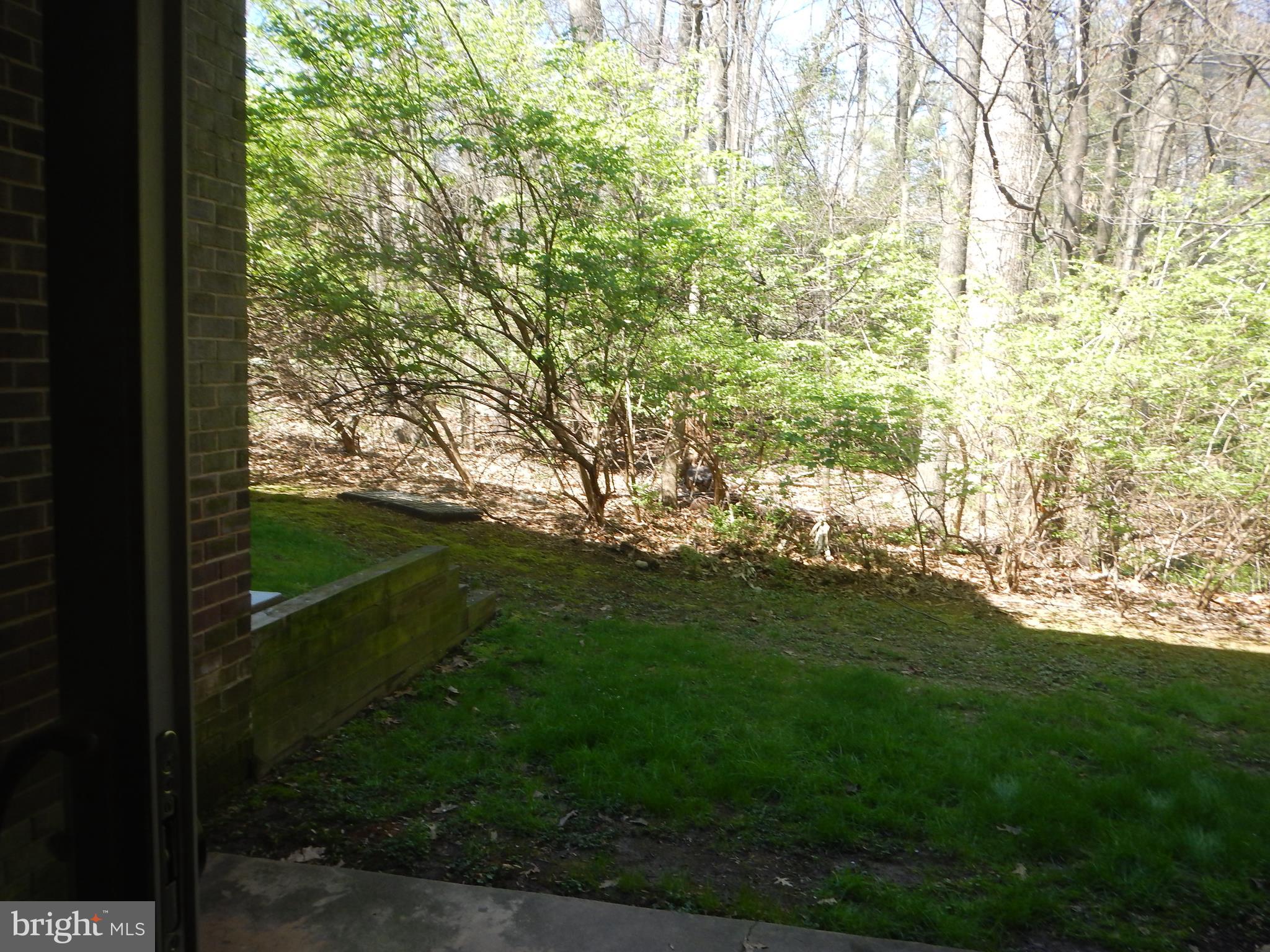 1529 Northgate Square, Unit 1B Reston, VA 20190 - Photo 8 of 18 Gallery Image 8