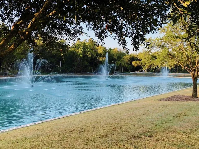 a view of a yard with large trees