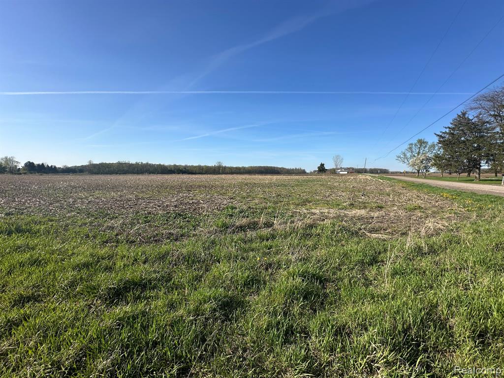 0 Sullivan Road Monroe, MI 48162 - Photo 3 of 4