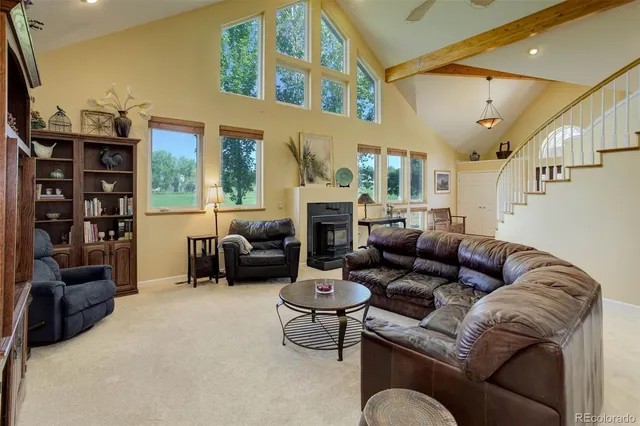 a living room with furniture or couch and a fireplace