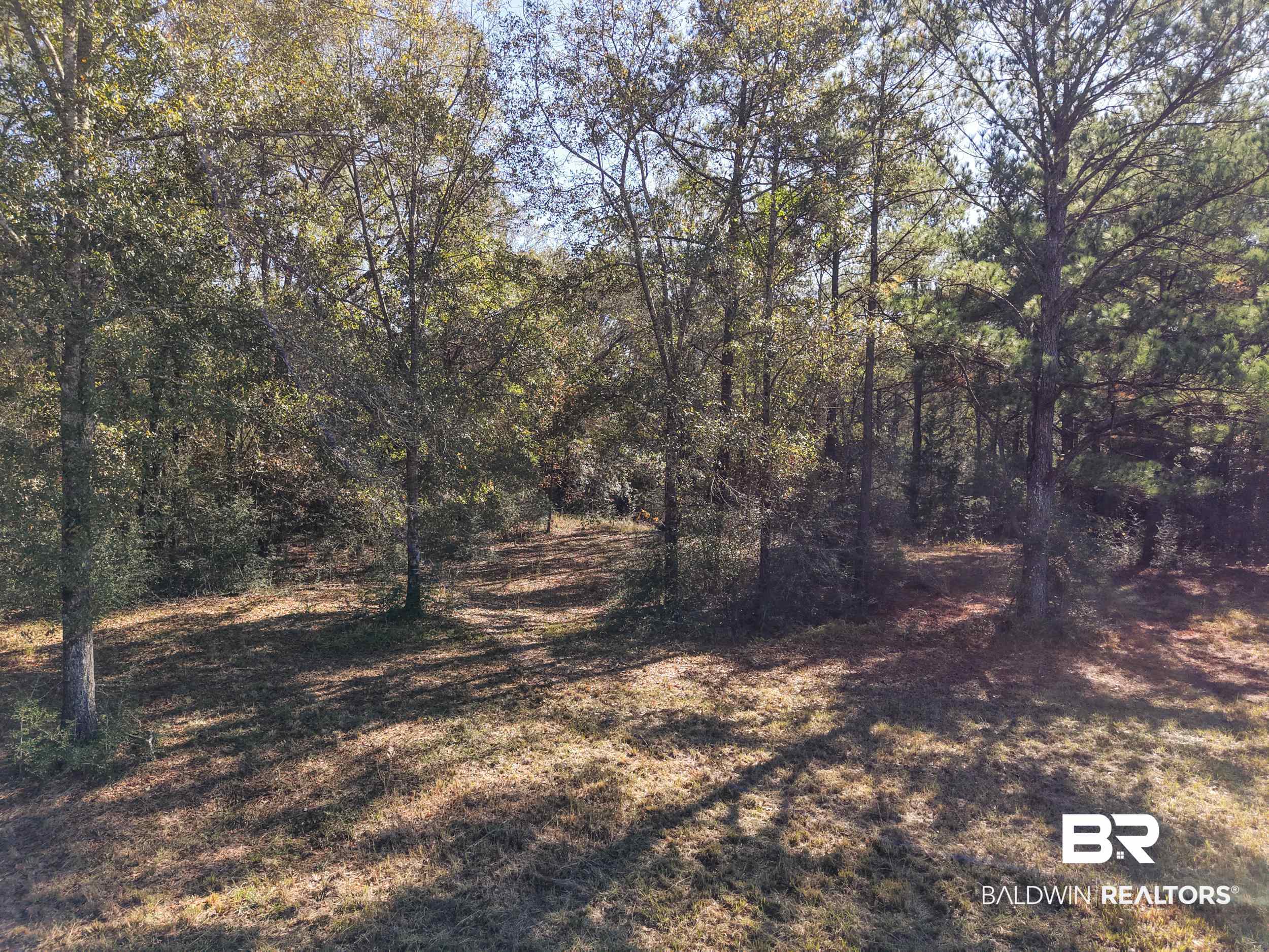 0 Stokley Court Atmore, AL 36502 - Photo 21 of 22 View of nature