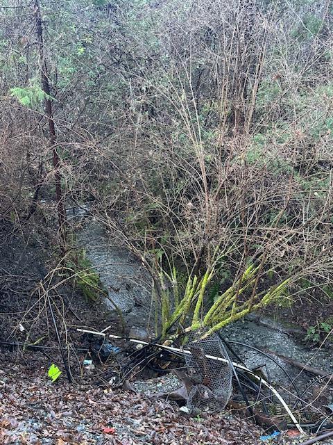 1489 Lower South Fork Road Hyampom, CA 96046 - Photo 21 of 23 IMG_8095