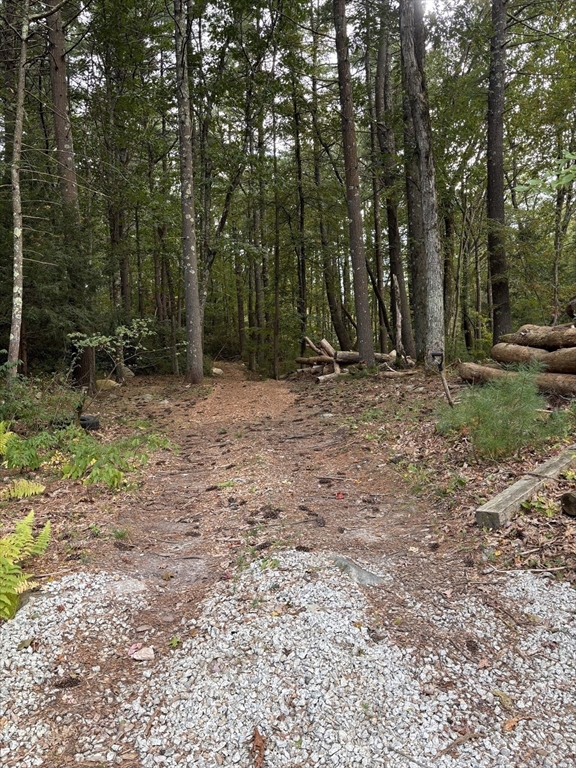 1694 Round Top Road Burrillville, RI 02830 - Photo 27 of 28 a backyard of a house with lots of green space