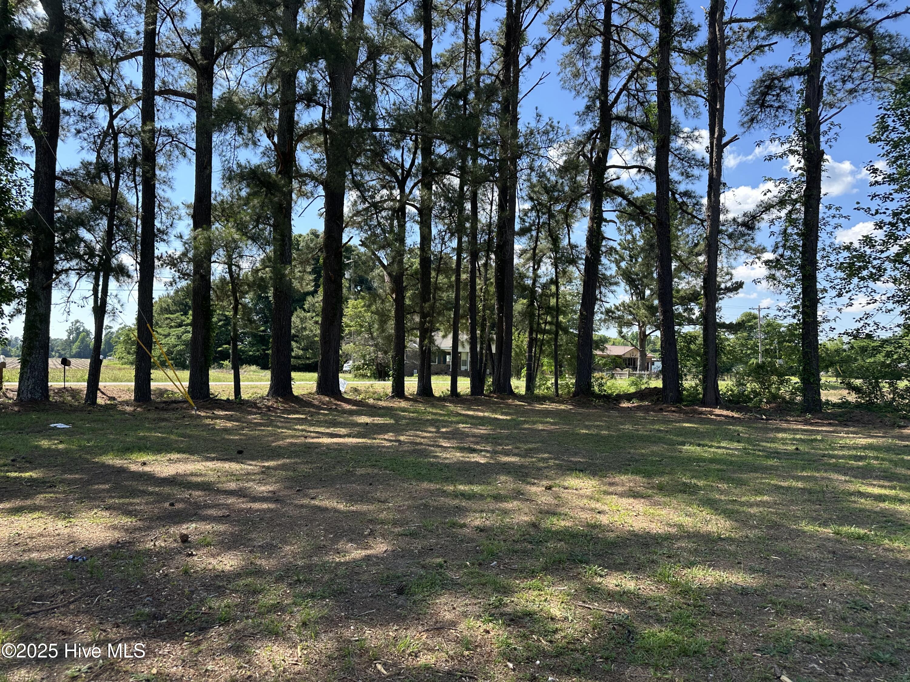 201 Morning Road Windsor, NC 27983 - Photo 21 of 22 Yard