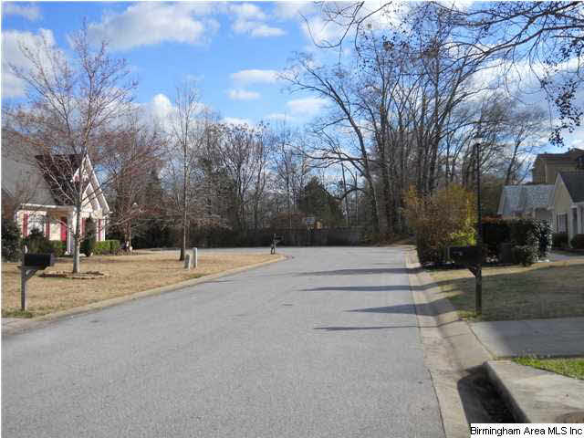 314 Mills Way Pelham, AL 35124 - Photo 27 of 28