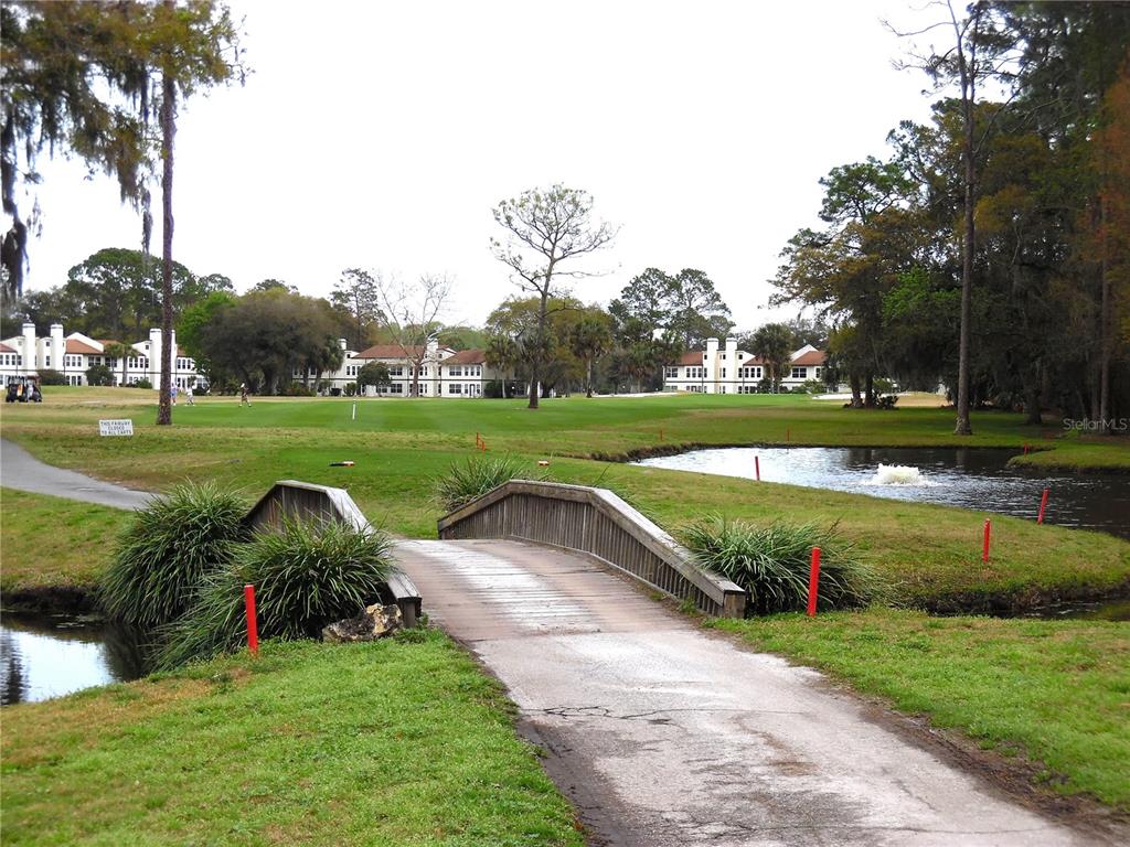 91 North Bobwhite Road Wildwood, FL 34785 - Photo 40 of 42