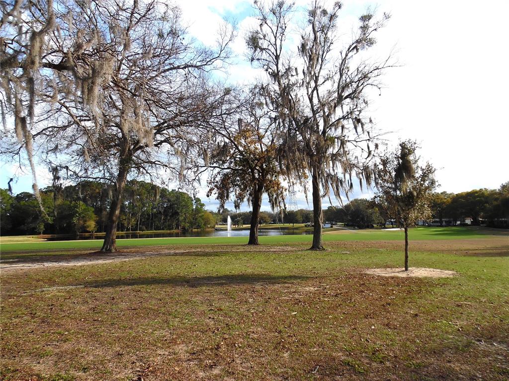 91 North Bobwhite Road Wildwood, FL 34785 - Photo 41 of 42