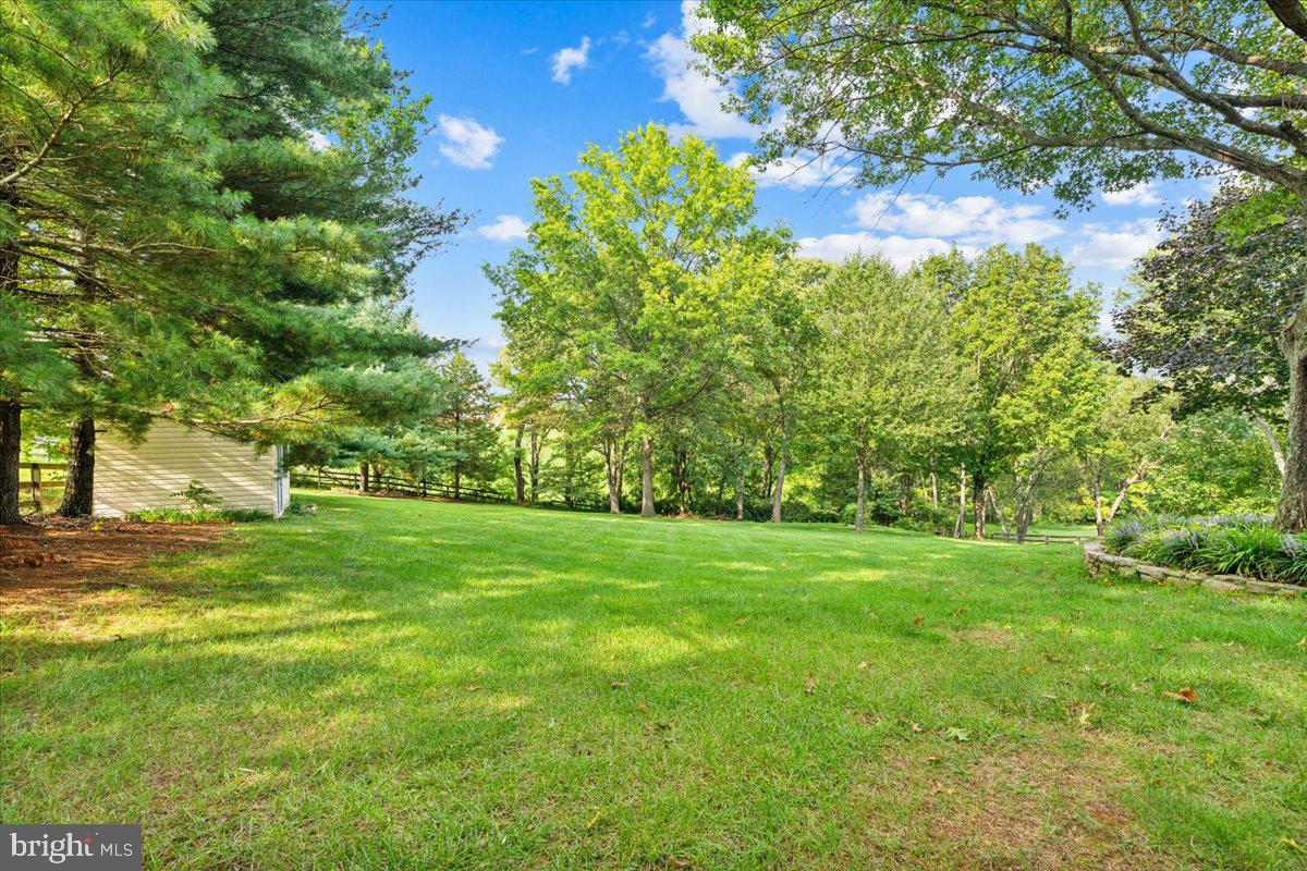 11405 Archer Circle Monrovia, MD 21770 - Photo 42 of 58 Rear yard